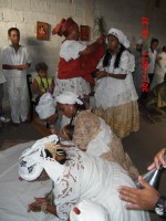 /album/galeria-de-fotos/cimg0013-jpg/